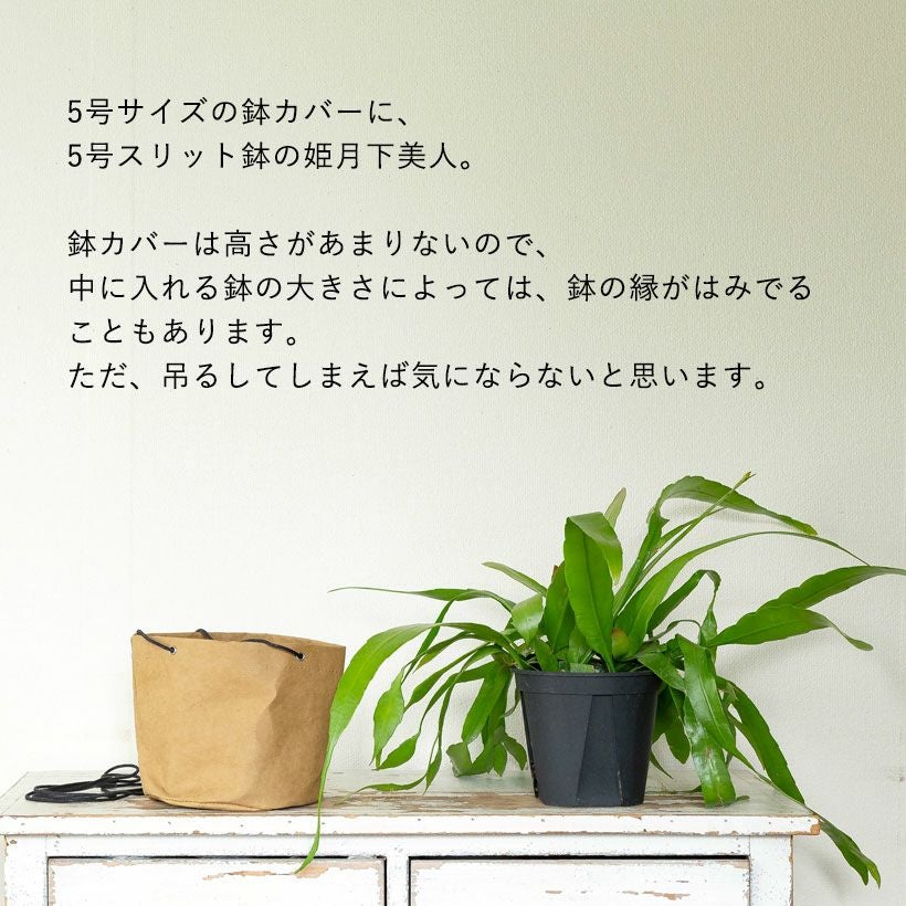 軽いし値段も手頃｜クラフトペーパーで作った観葉植物の吊り鉢