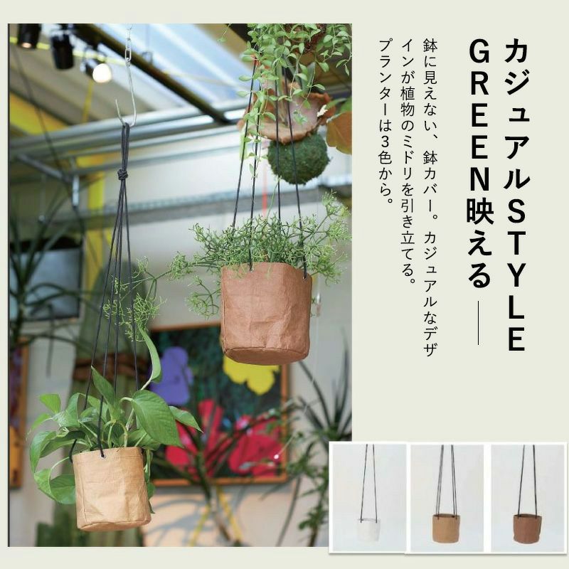 吊り鉢でガジュアルにツル性植物｜ポトスパーフェクトグリーン