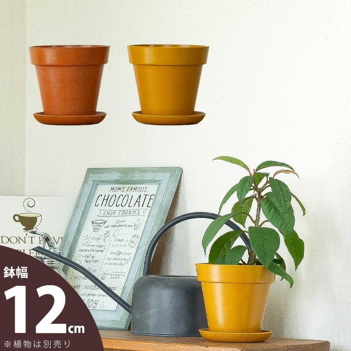 3号鉢、3.5号鉢、4号鉢サイズ｜おしゃれ植木鉢（ポット）67種