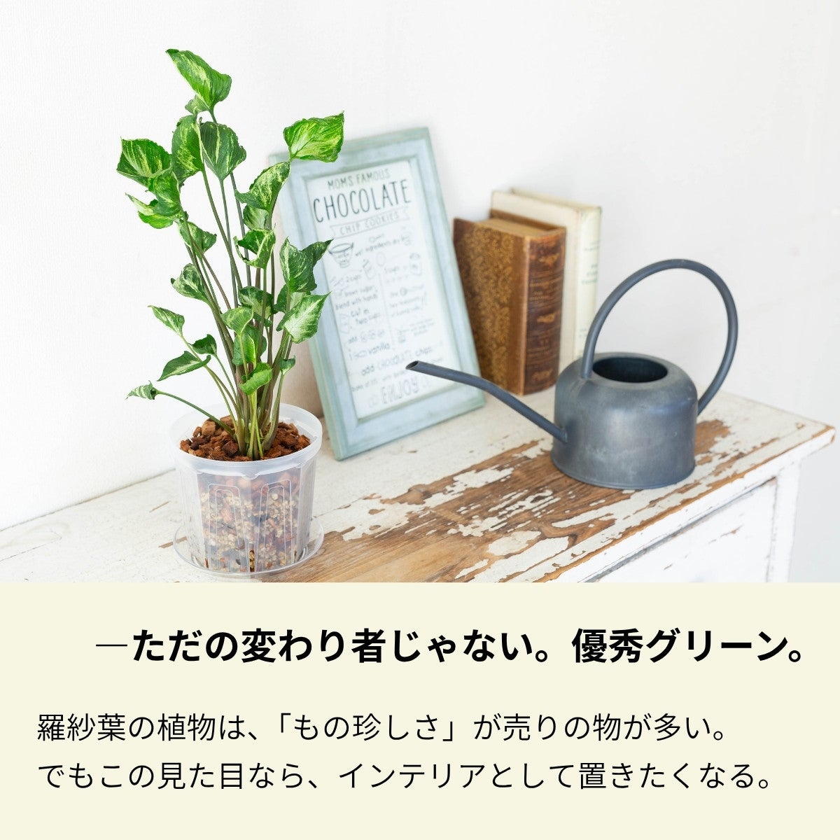 ただの代わり物じゃない。優秀グリーン。