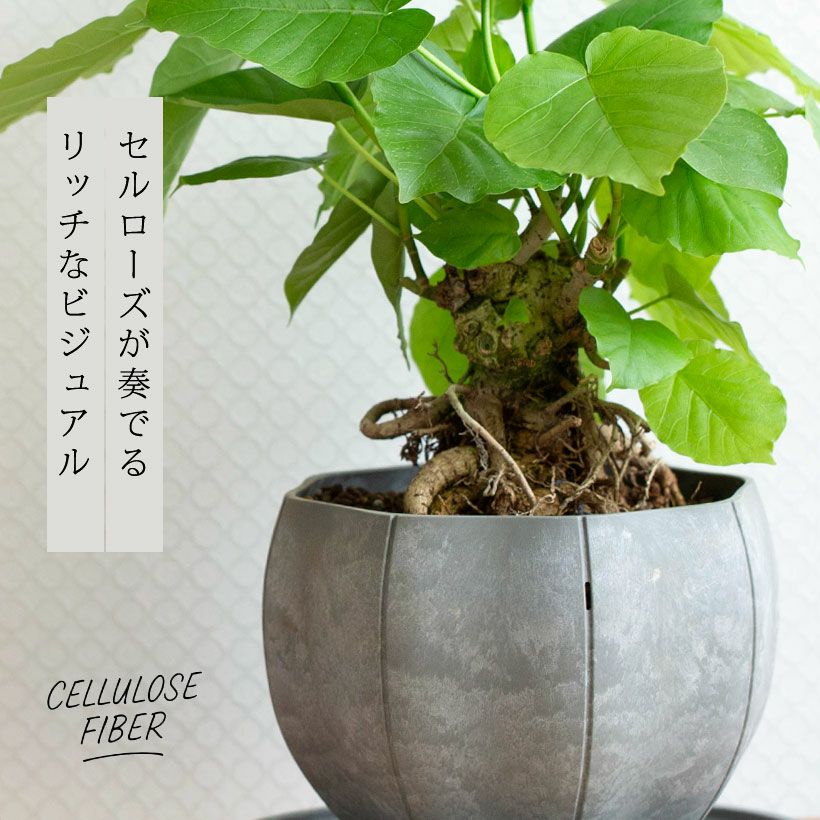 軽くて丈夫セルローズファイバー植木鉢マットな質感｜ハンギング可能