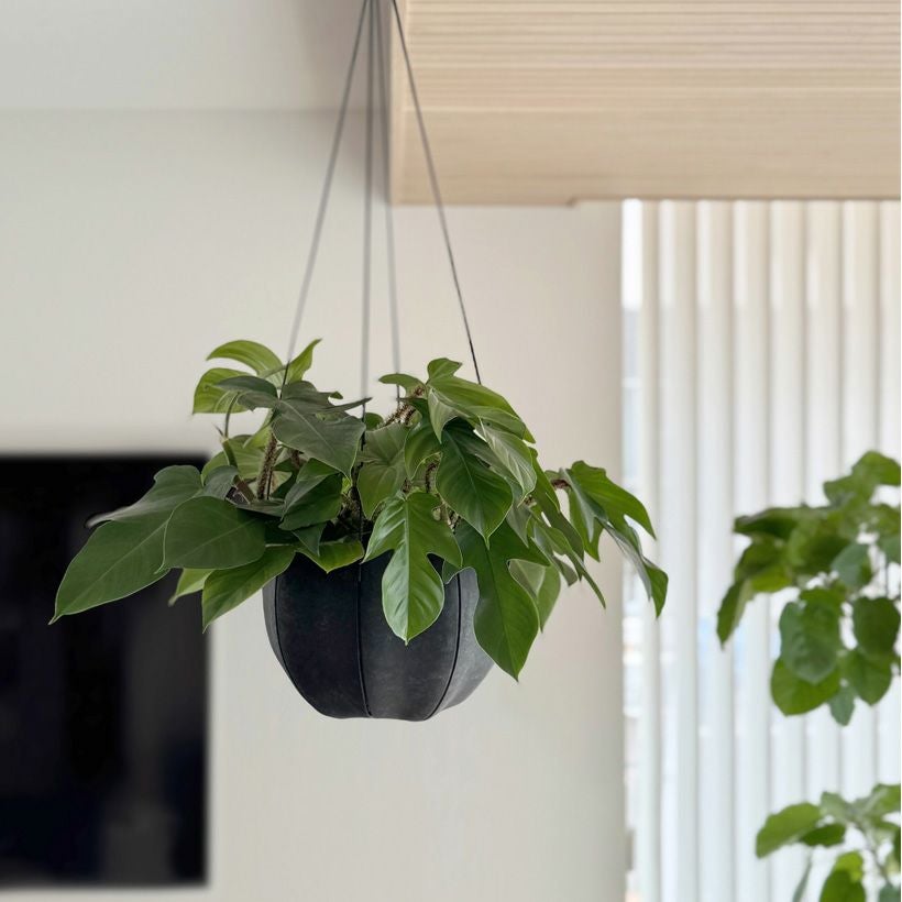 軽くて丈夫セルローズファイバー植木鉢マットな質感｜ハンギング可能