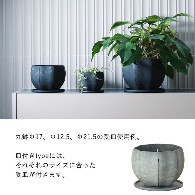 FiveElementsPlants 植木鉢 軽くて丈夫セルローズファイバー植木鉢マットな質感｜ハンギング可能