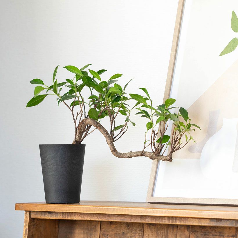 000000010210-02.jpg?size=l&w=