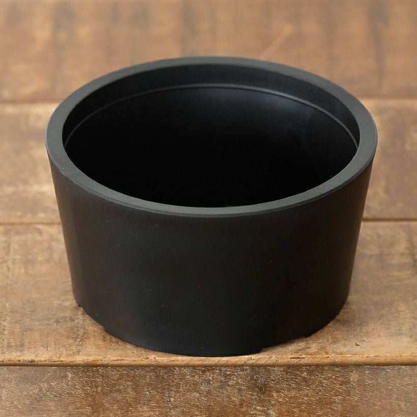 塊根植物や珍奇植物に！黒マット浅型POT|maceta basiclow