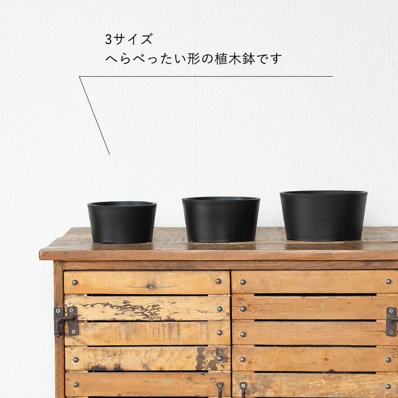 塊根植物や珍奇植物に！黒マット浅型POT|maceta basiclow