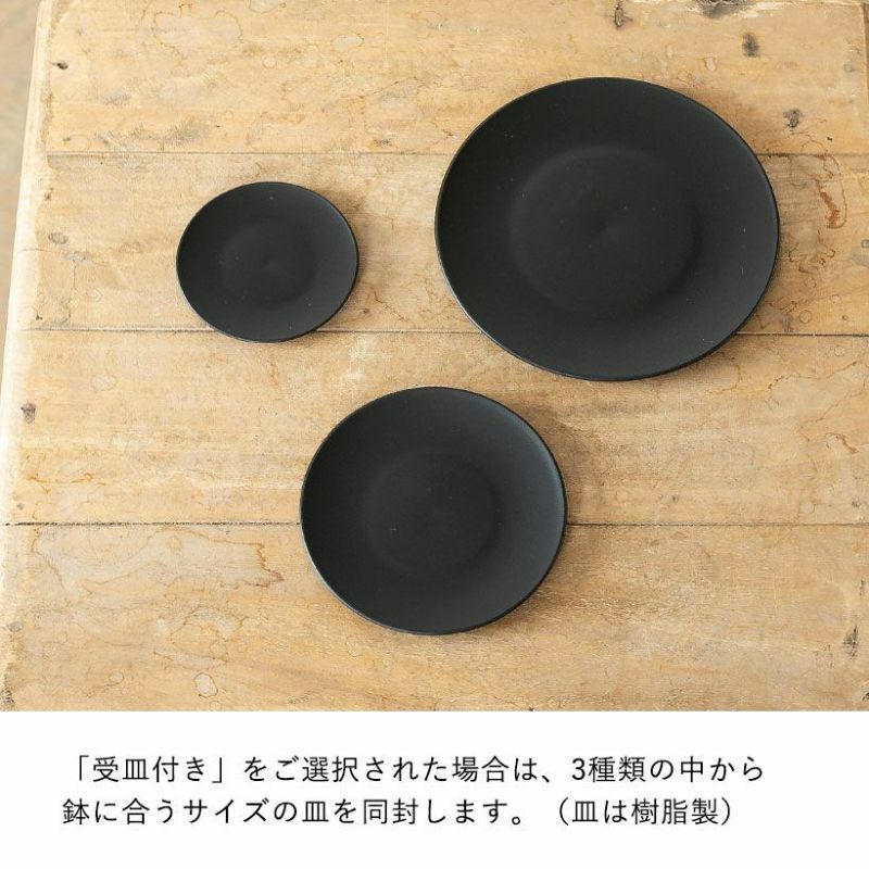 塊根植物や珍奇植物に！黒マット浅型POT|maceta basiclow