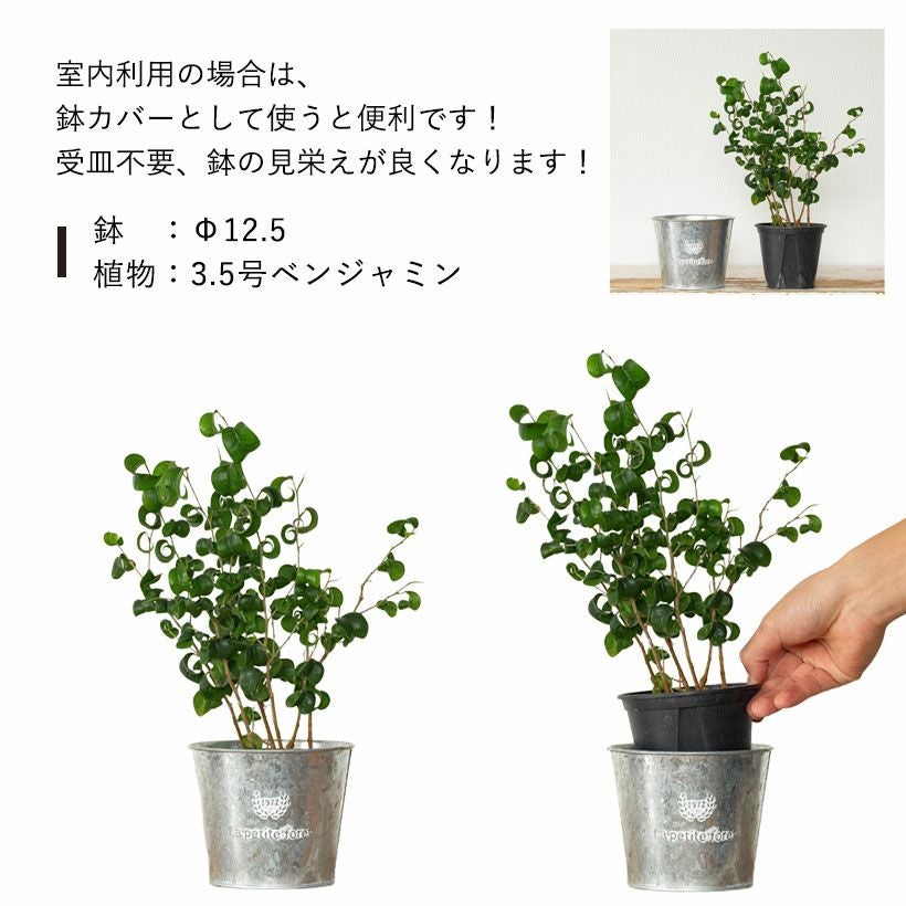 ブリキ鉢｜多肉、草花、観葉植物に！ナチュラルテイスト