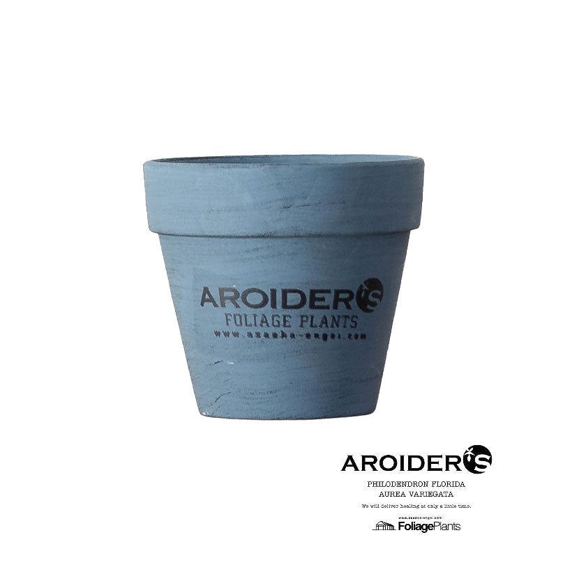 浅岡園芸アロイダーズPOT|ブルーペイントが素敵な3号苗向け鉢カバー