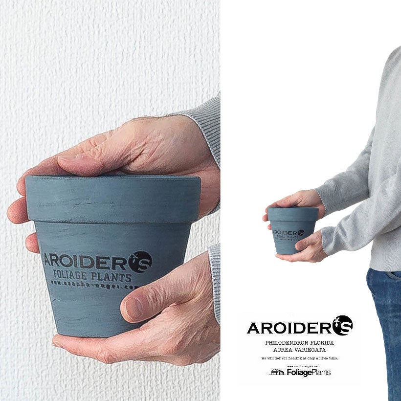 浅岡園芸アロイダーズPOT|ブルーペイントが素敵な3号苗向け鉢カバー