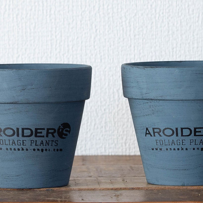 浅岡園芸アロイダーズPOT|ブルーペイントが素敵な3号苗向け鉢カバー