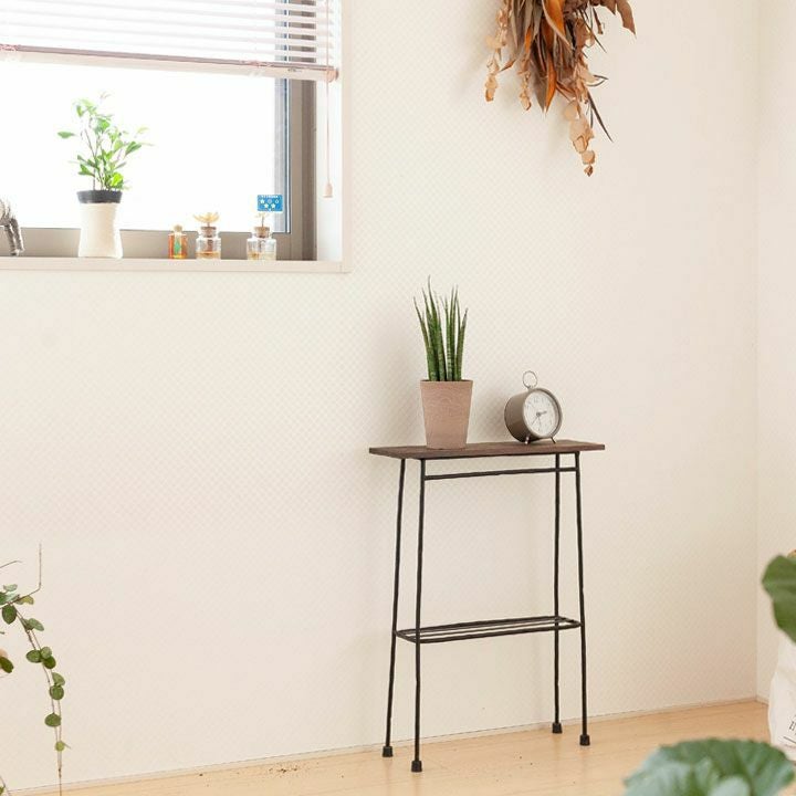 サンスベリア・ミカドをカラフルな鉢に植えて