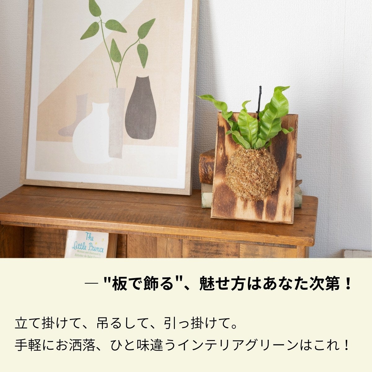 アスプレニウム・エメラルドウェーブの板付けを飾っている画像