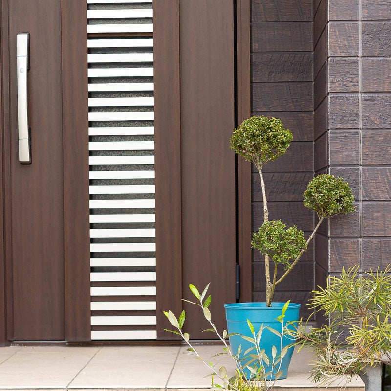 緑鉢に植え替えたキンメツゲ