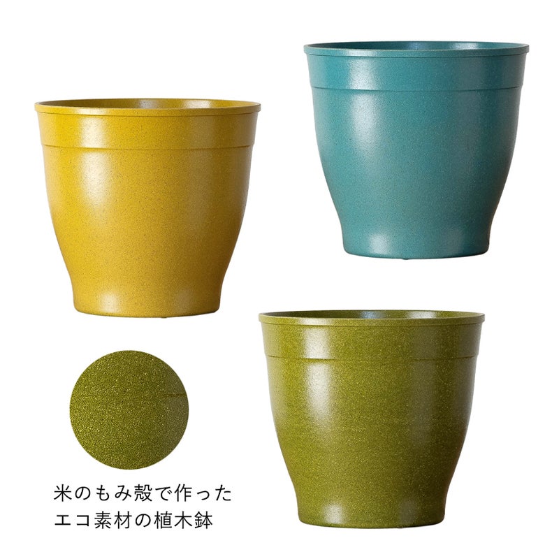 植え替えの鉢について