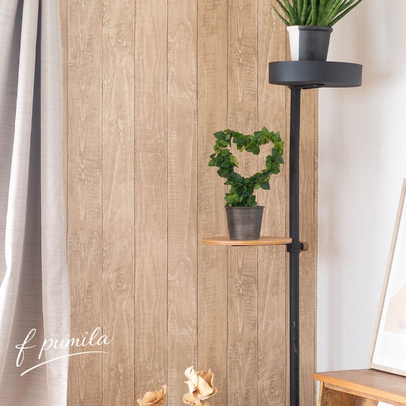 プミラを飾ったイメージ。インテリアのアクセントに