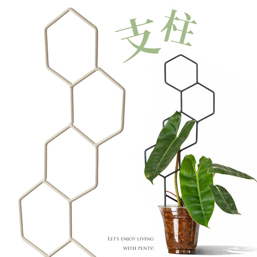 おしゃれ支柱｜植物（アロイド）這わし向きを調整！六角形zuke