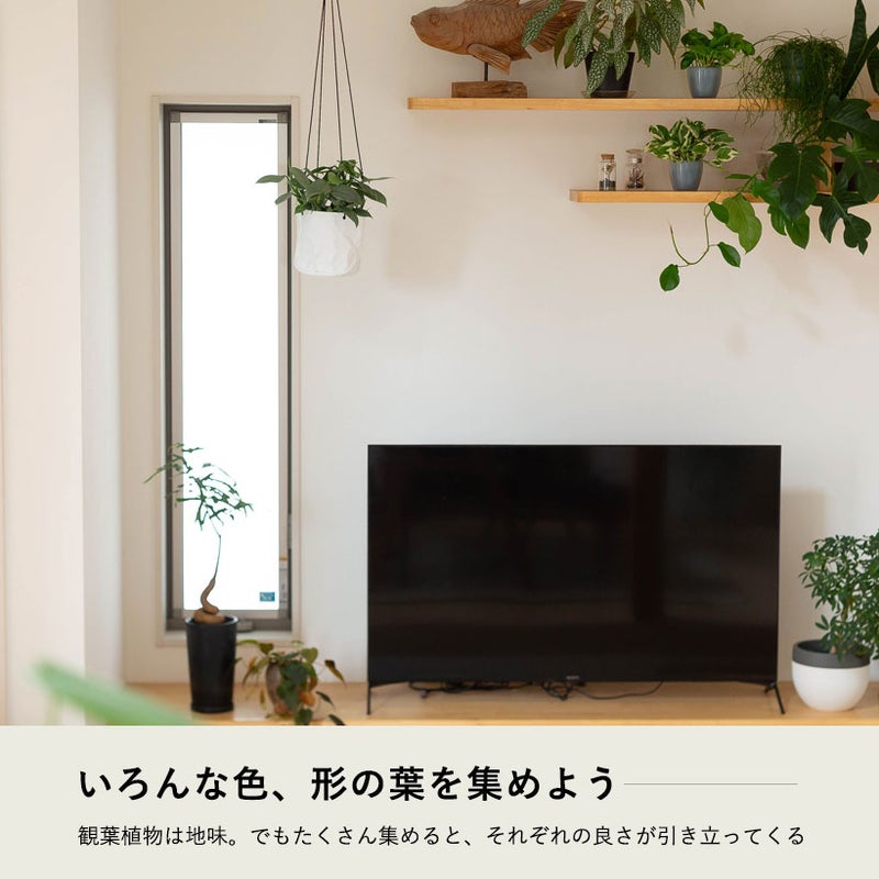 シルバーメタルを吊り下げた写真