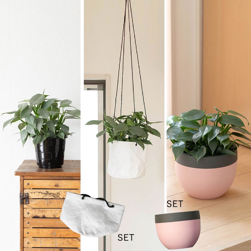 シルバーメタルを吊り下げた写真