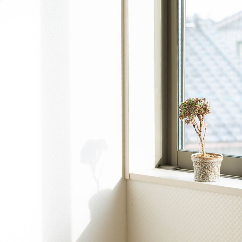 サンバーストをベランダに