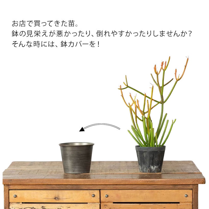 鉄のポット（3号植物の鉢カバーとして向いてます） | [公式]e-花屋さん