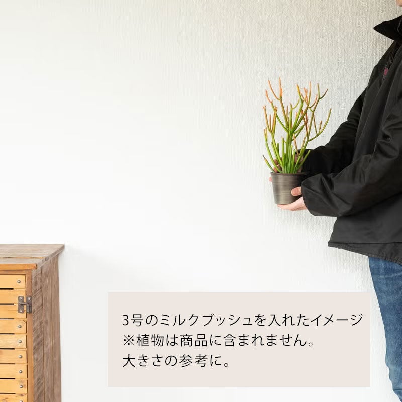 鉄のポット（3号植物の鉢カバーとして向いてます） | [公式]e-花屋さん