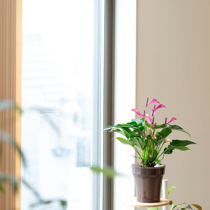 良いものを贈りたい