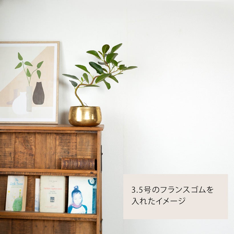 工業製品のラフな質感が植物を引き立てる｜鉄製鉢カバー（ゴールド