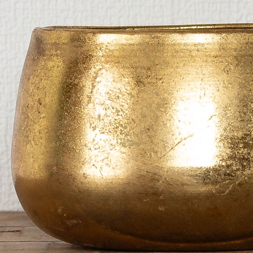 工業製品のラフな質感が植物を引き立てる｜鉄製鉢カバー（ゴールド