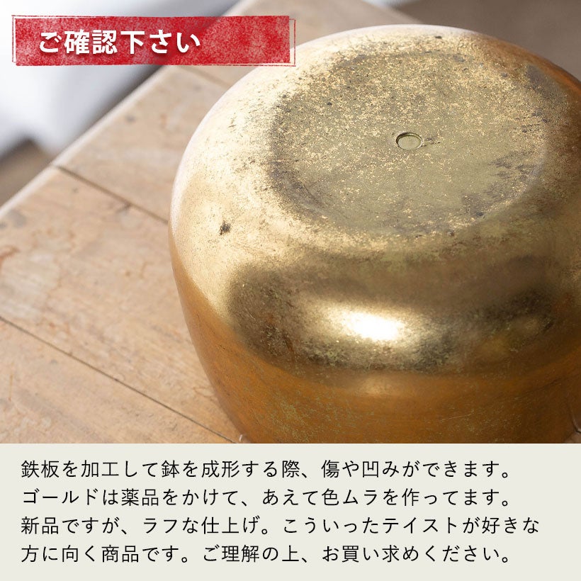 工業製品のラフな質感が植物を引き立てる｜鉄製鉢カバー（ゴールド