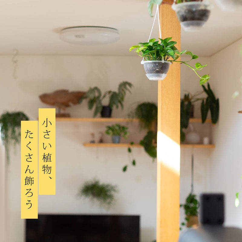 ポトス・グローバルグリーン