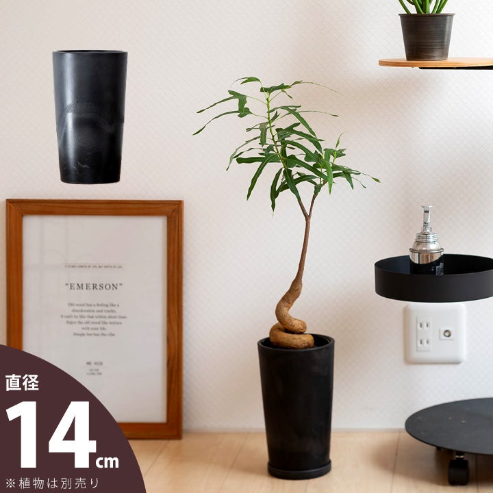 ファイバークレイ　ブラック鉢 植木鉢 ファイバークレイ ストラMIX 丸型 31×31 ブラック : ハンズマン