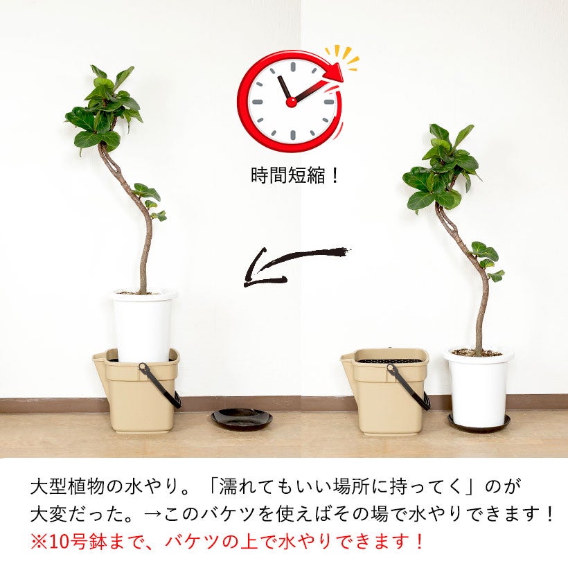 水やり楽になる」網トレイ付きバケツ｜大型植物にも対応
