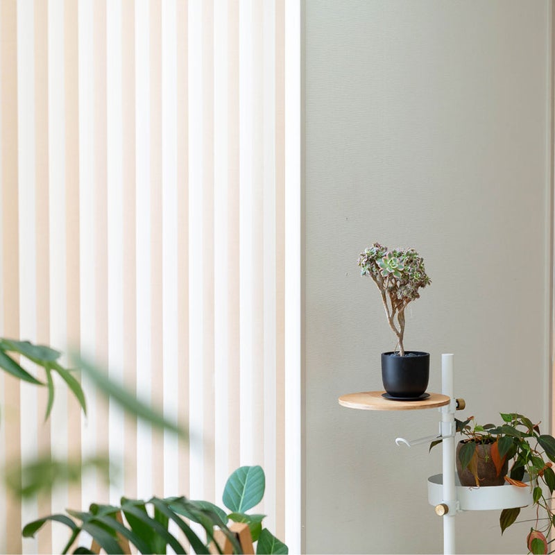 サンバーストをベランダに