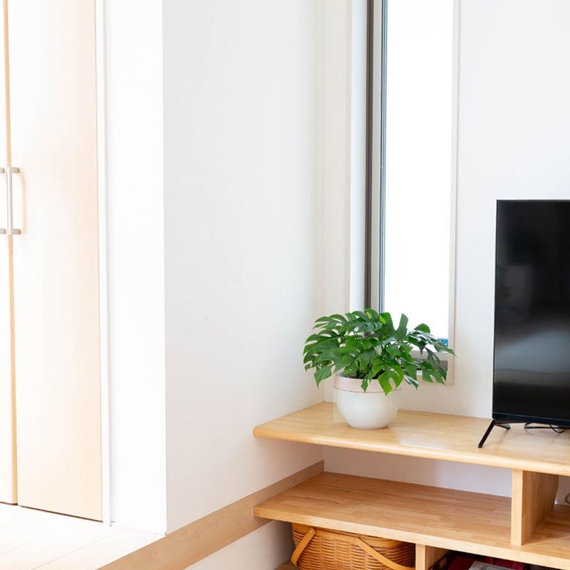 北欧鉢のモンステラを床の上に