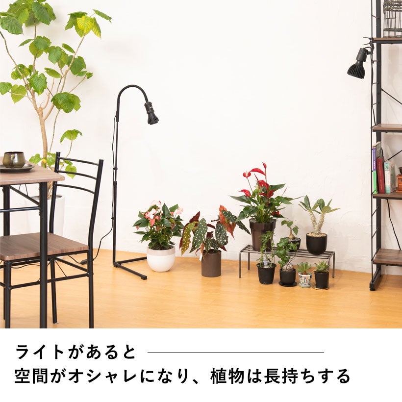 ⌘PLANTING RAINBOW⌘ライトスタンド　植物スタンド タイマー付き！倒れにくい植物ライトスタンド｜プラエリアソケット
