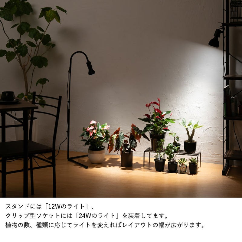 ライトスタンドとクリップソケットの併用