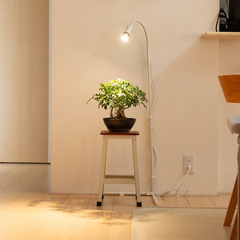 タイマー付き！倒れにくい植物ライトスタンド｜プラエリアソケット
