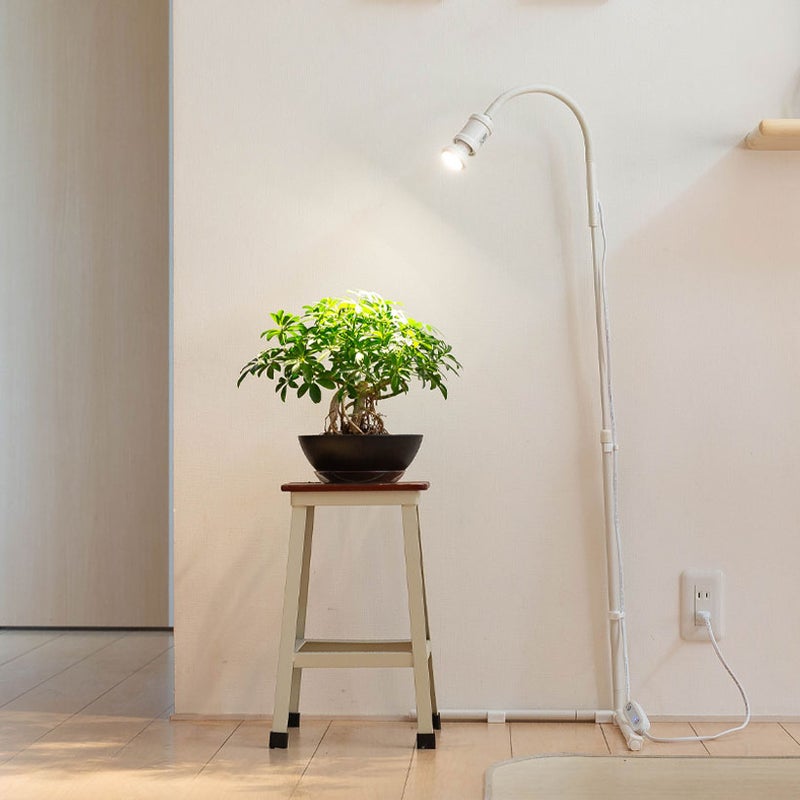 お気に入りの植物にライトスタンド