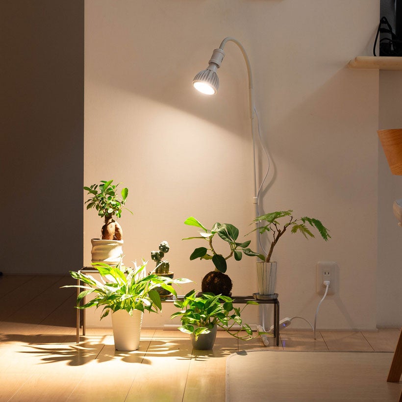タイマー付き！倒れにくい植物ライトスタンド｜プラエリアソケット