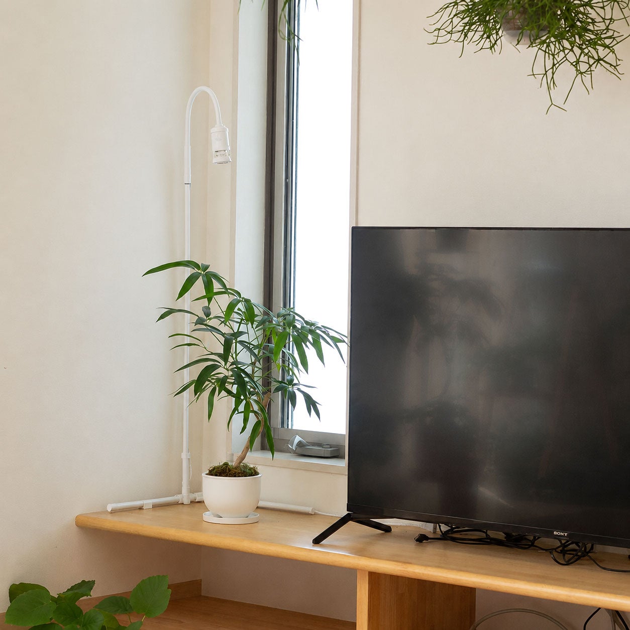 タイマー付き！倒れにくい植物ライトスタンド｜プラエリアソケット