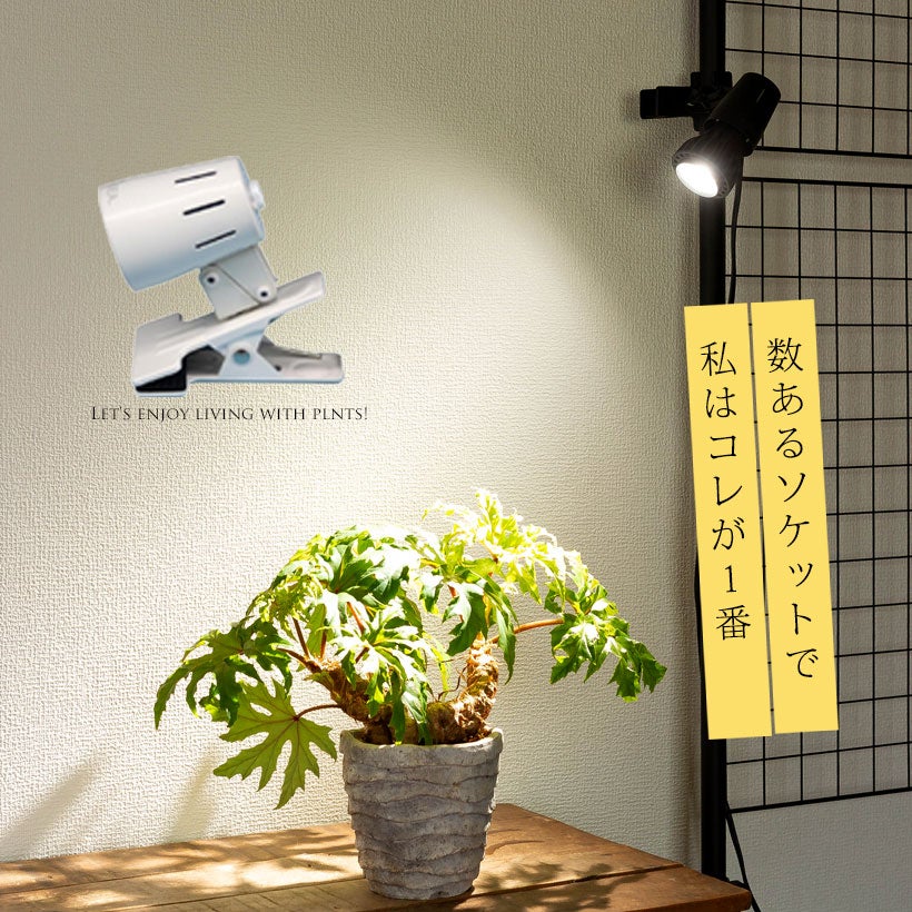 植物ライトのソケット|ネジで重いライトも保持!タイマー付き 植物ライトのソケット|ネジで重いライトも保持!タイマー付き
