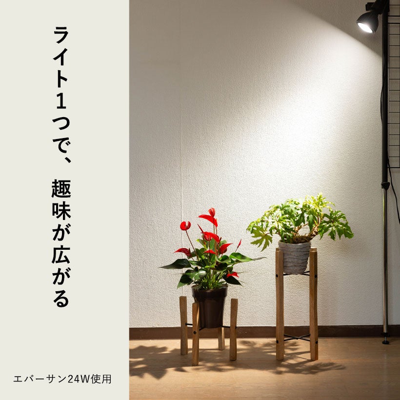 植物ライトのソケット｜ネジで重いライトも保持！タイマー付き