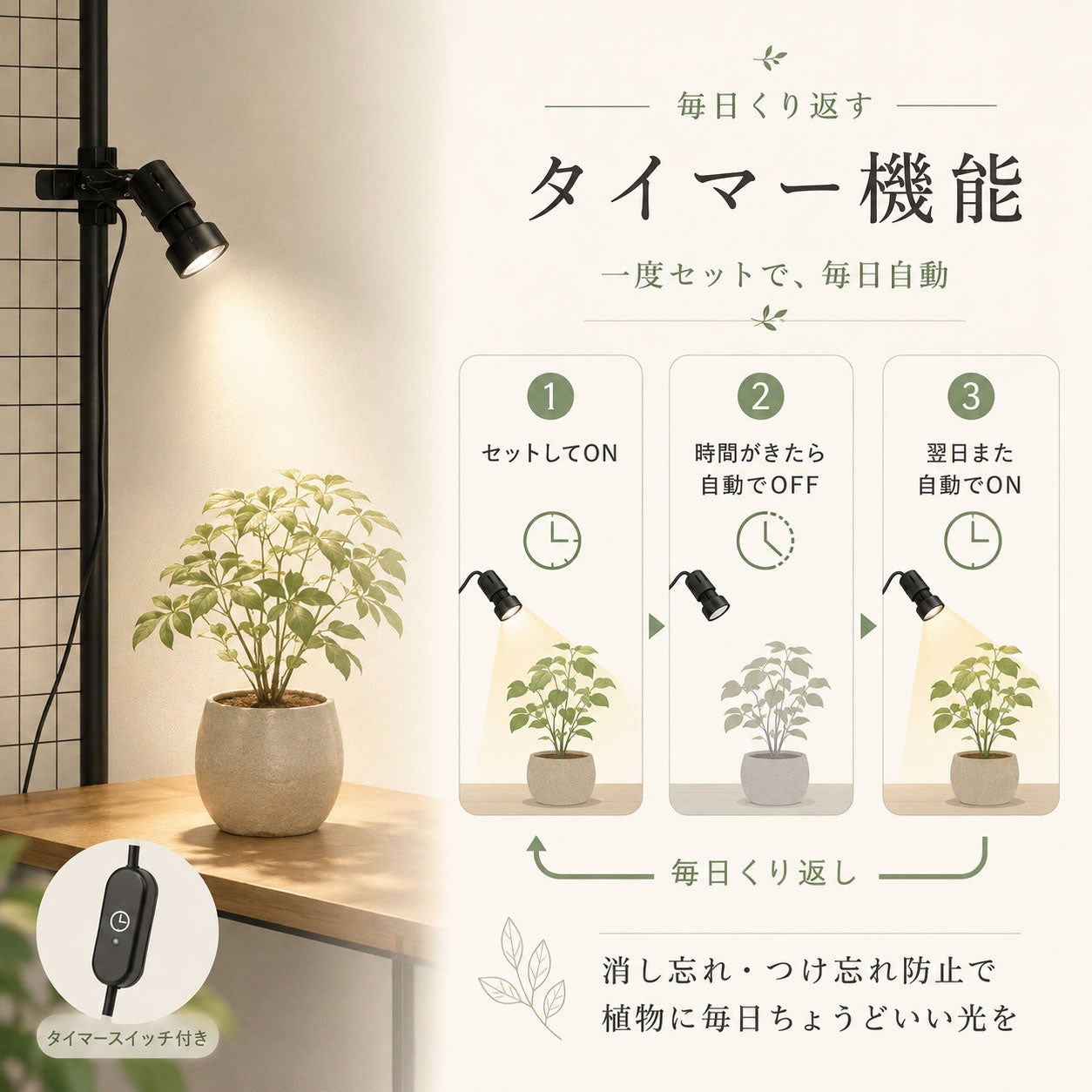 植物ライトのソケット｜ネジで重いライトも保持！タイマー付き