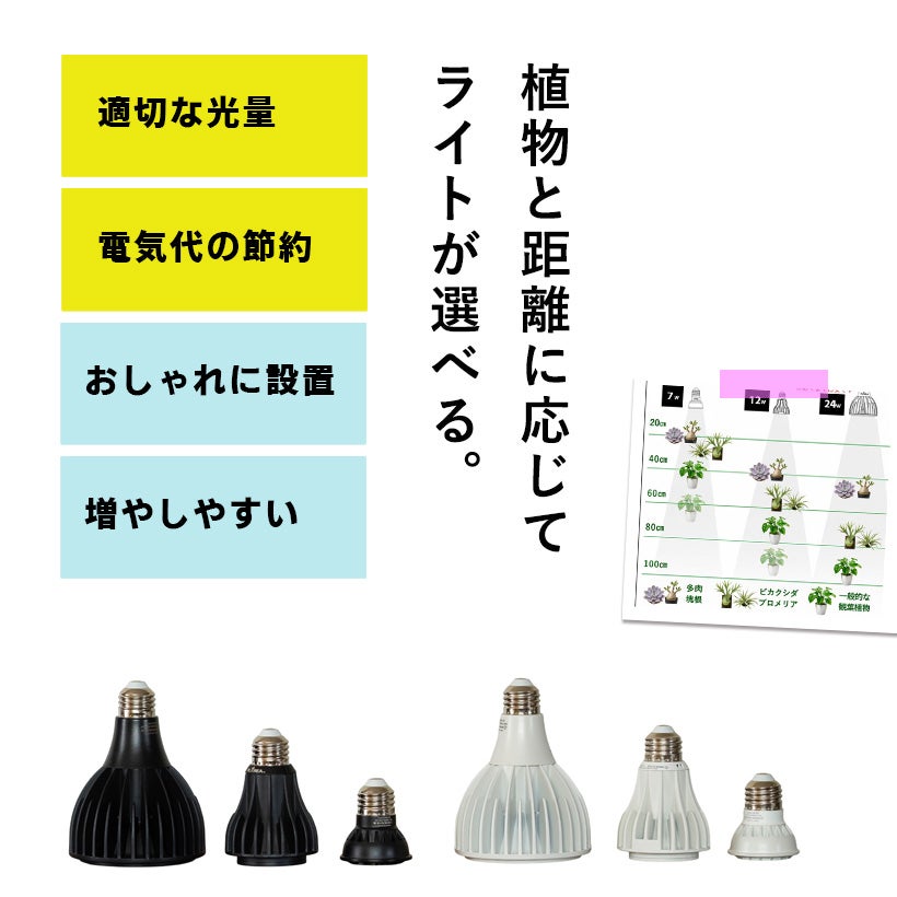植物LEDライト「エバーサン」照射角度が広く光の強さも選べる