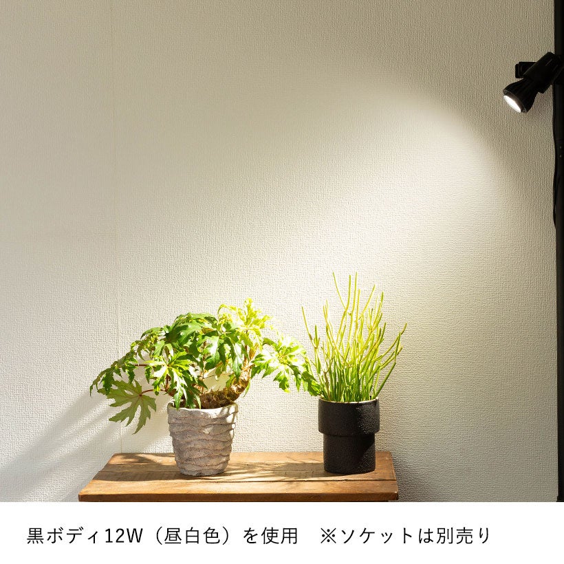 植物LEDライト「エバーサン」照射角度が広く光の強さも選べる