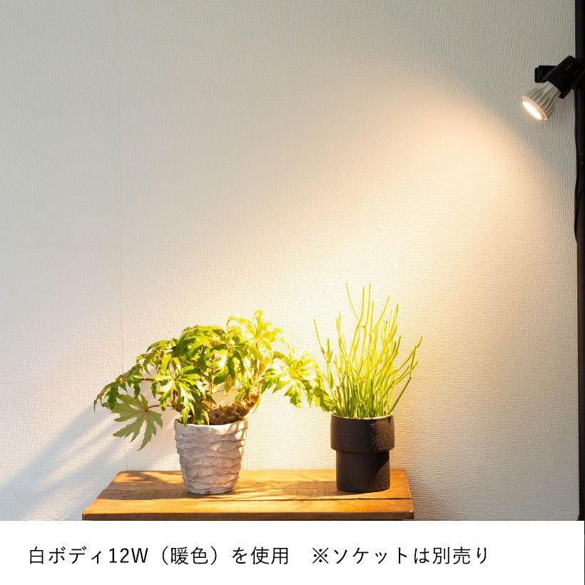 植物LEDライト「エバーサン」照射角度が広く光の強さも選べる