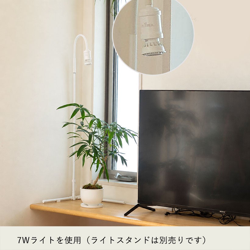 植物LEDライト「エバーサン」照射角度が広く光の強さも選べる