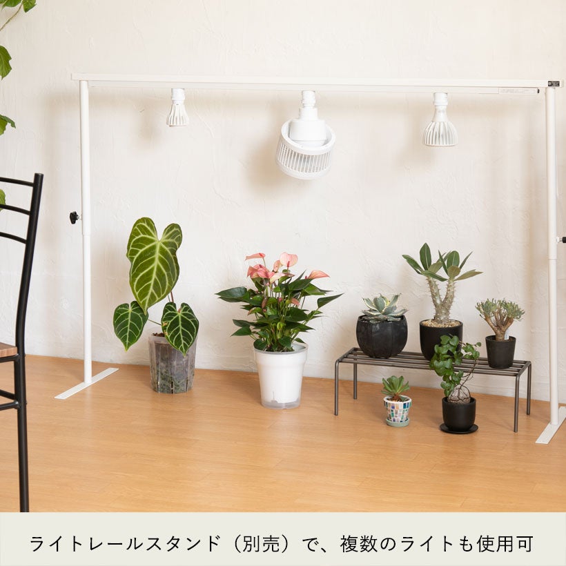 植物LEDライト「エバーサン」照射角度が広く光の強さも選べる