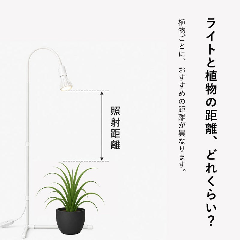 照射距離とは